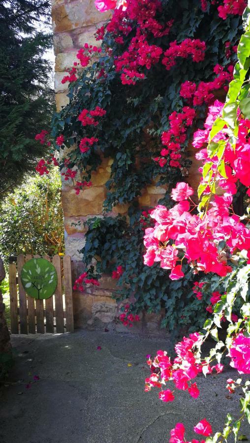 Casa Rural La Posada Del Alba Alea Luaran gambar